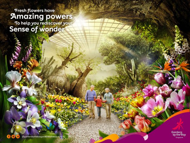 Garden By The Bay Admission gardensthe bay ticket promotion - deviprasadregmi Garden By The Bay Admission gardensthe bay ticket promotion - deviprasadregmi