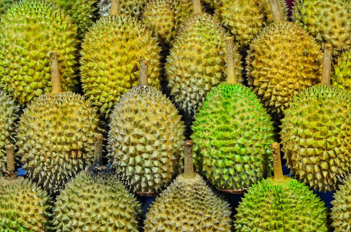 MSW Durian prices are down to just S15 per kg, its lowest since 2016