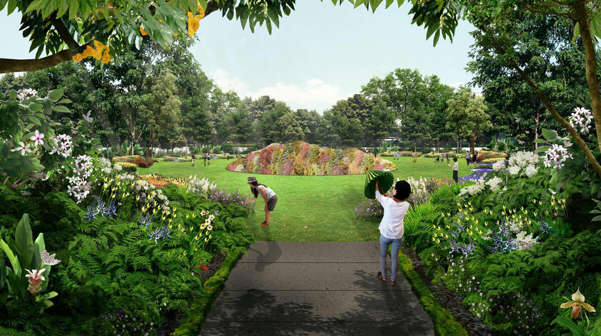 Part of Jurong Lake Gardens to transform into a Water Lily Wonderland