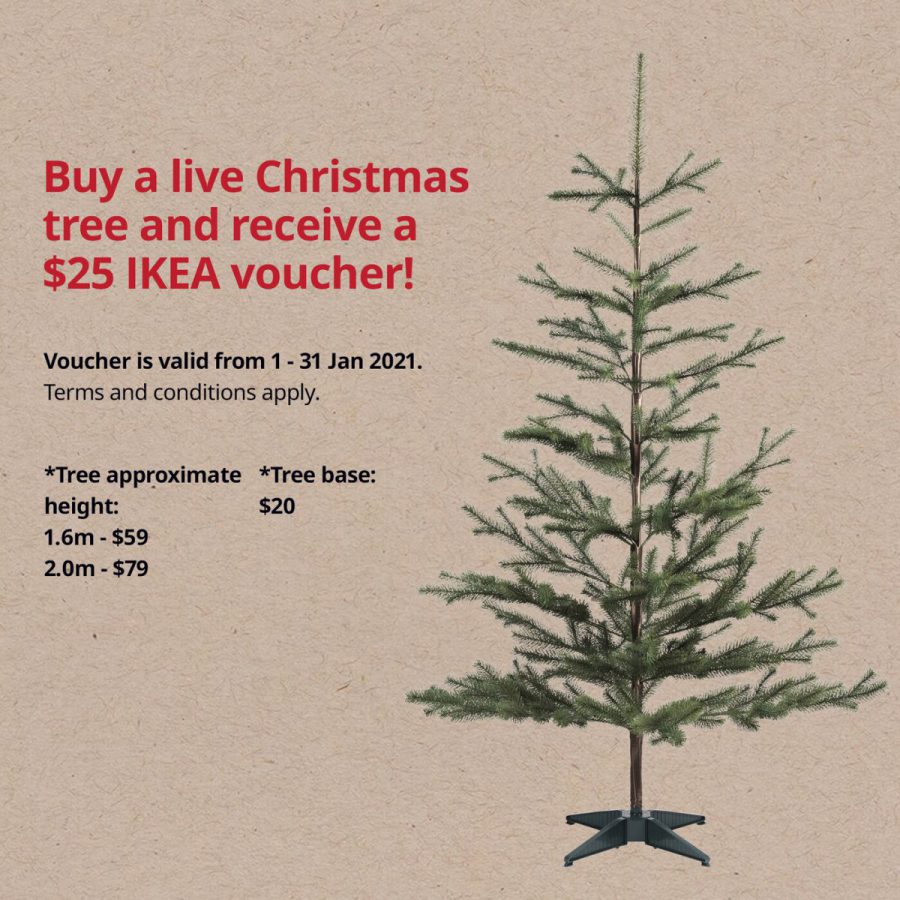 IKEA S'pore will be selling Live Christmas Trees imported from Sweden