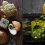 Asanoya Bakery launches Matcha Series made with Japan ingredients, has Matcha Lava Cubes with molten center