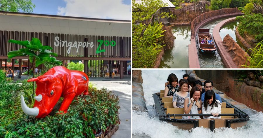 Enjoy 50% OFF to Singapore Zoo & River Safari from $13 per ticket with