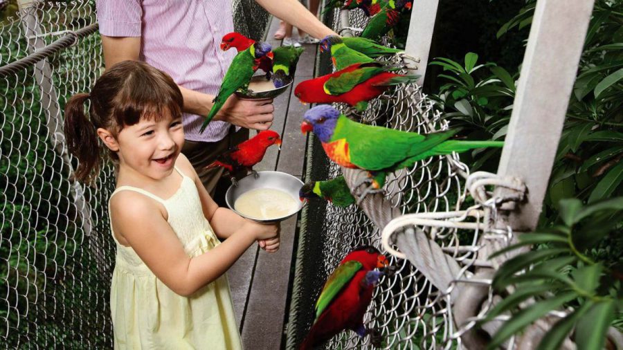 Enjoy 50 OFF tickets from 11.50 to Singapore Zoo, Night Safari