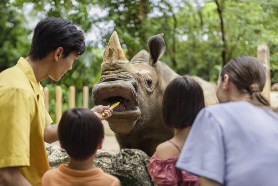 Enjoy 50 OFF admission to Singapore Zoo & River Wonders for visits