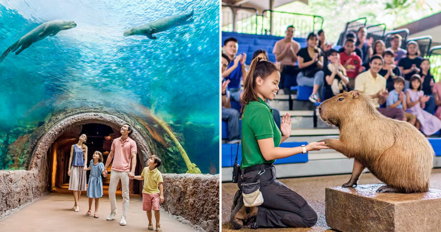 River Wonders has 50% OFF Promo Code when you book by Jun 25, valid for ...