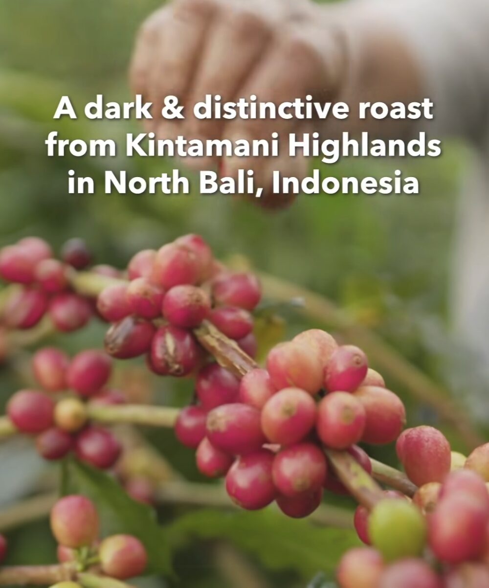 View of Coffee Bean S'pore offers 2 for $12 on Single Origin Americano & Latte ...