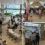 Punggol Coast Hawker Centre Now Open with 40 Stalls Including Old Favourites & Trendy Newcomers